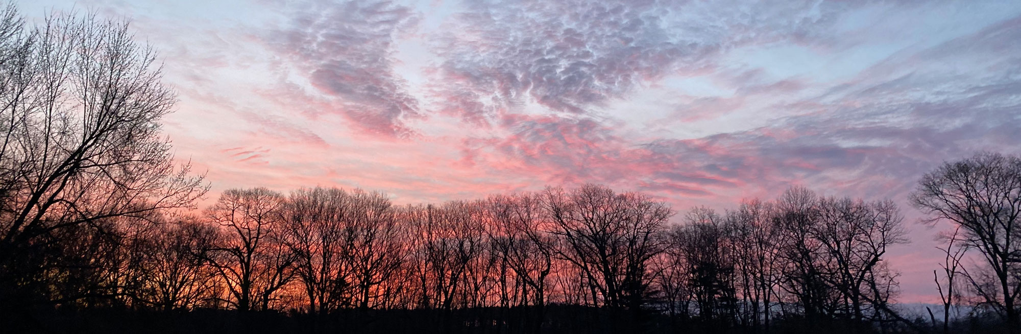 Sunrise over the treeline